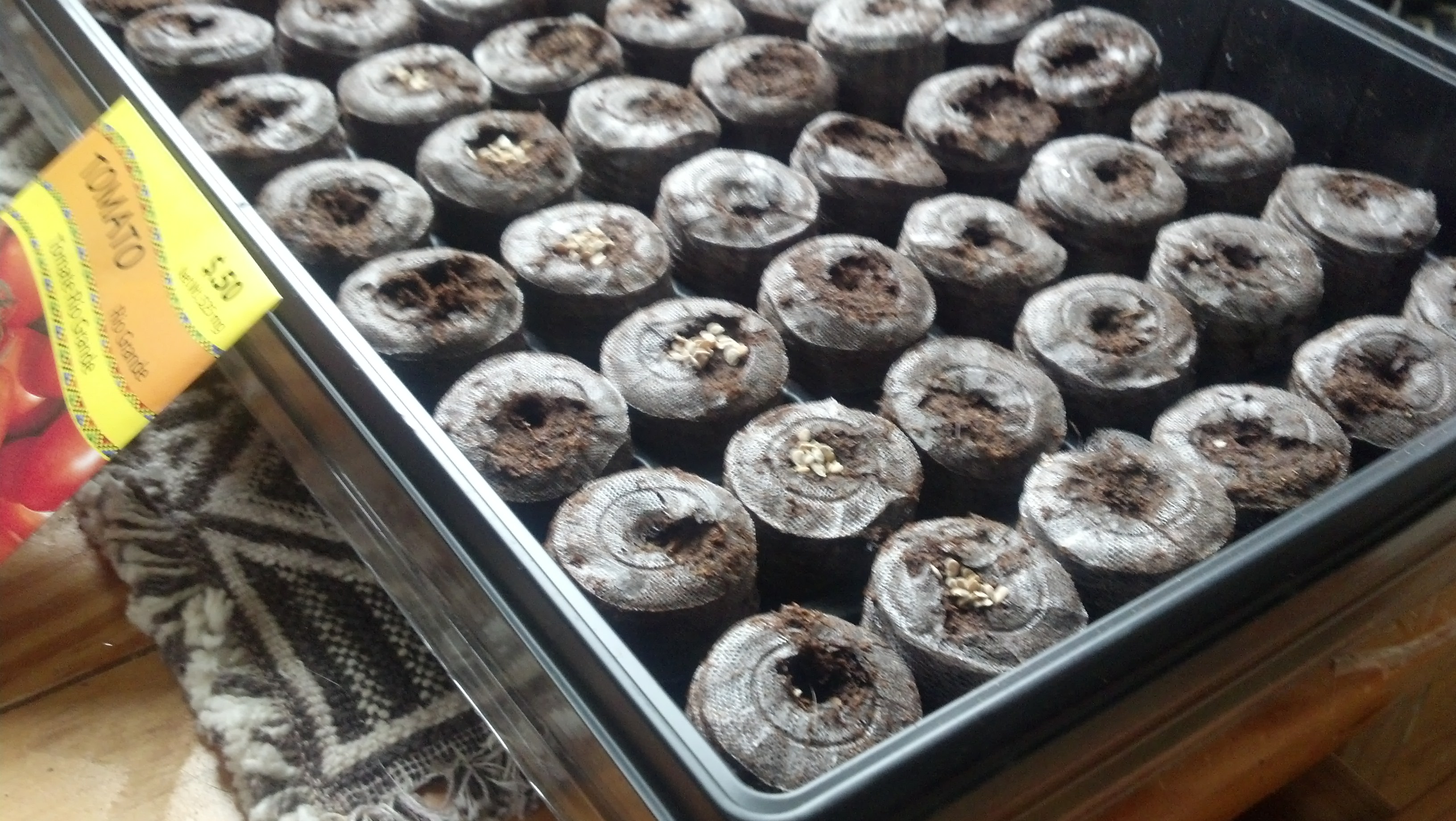 Here are some seeds being planted